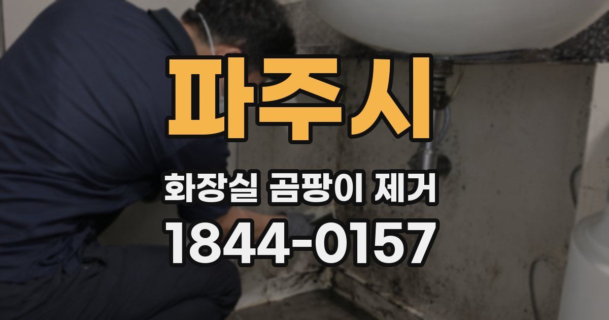 파주시 화장실 곰팡이 제거