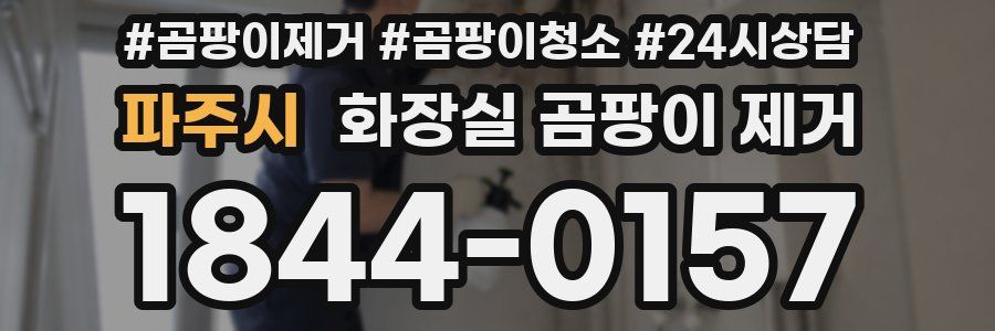 파주시 화장실 곰팡이 제거