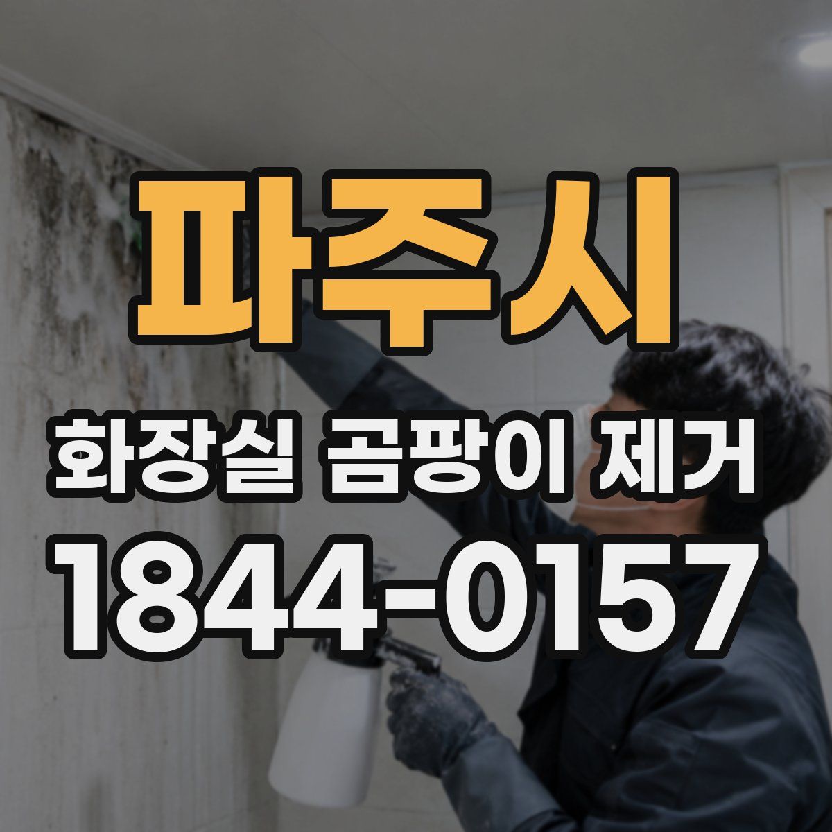 파주시 화장실 곰팡이 제거