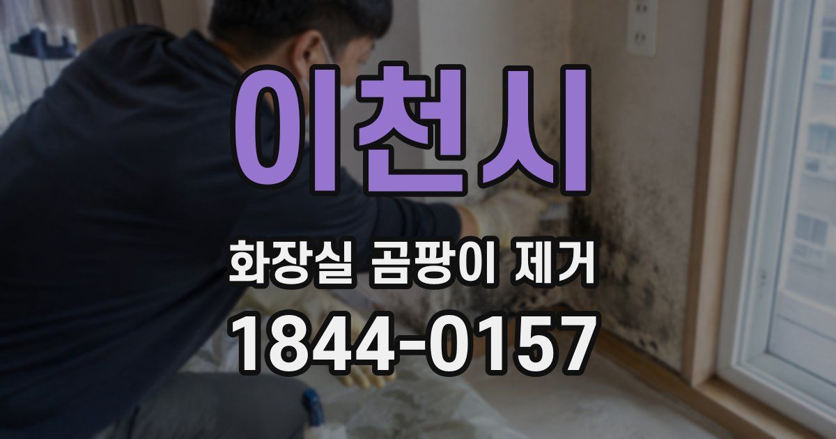 이천시 화장실 곰팡이 제거