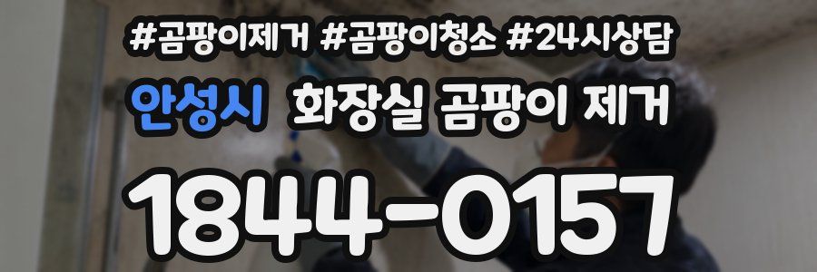 안성시 화장실 곰팡이 제거