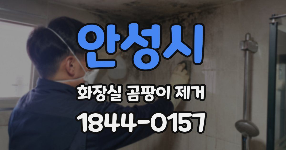안성시 화장실 곰팡이 제거