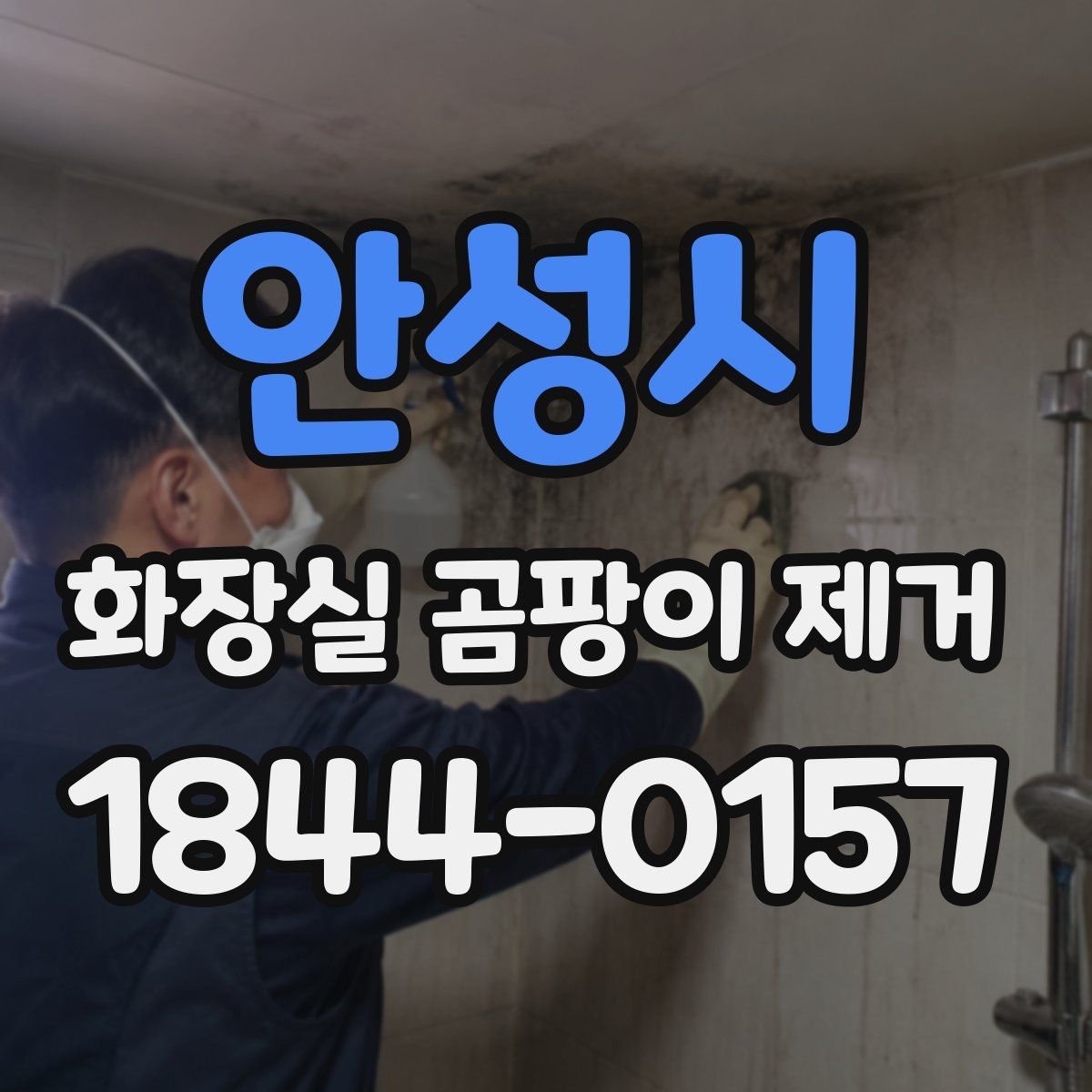 안성시 화장실 곰팡이 제거