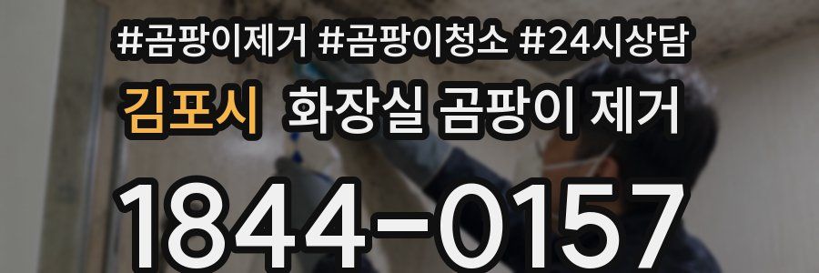 김포시 화장실 곰팡이 제거