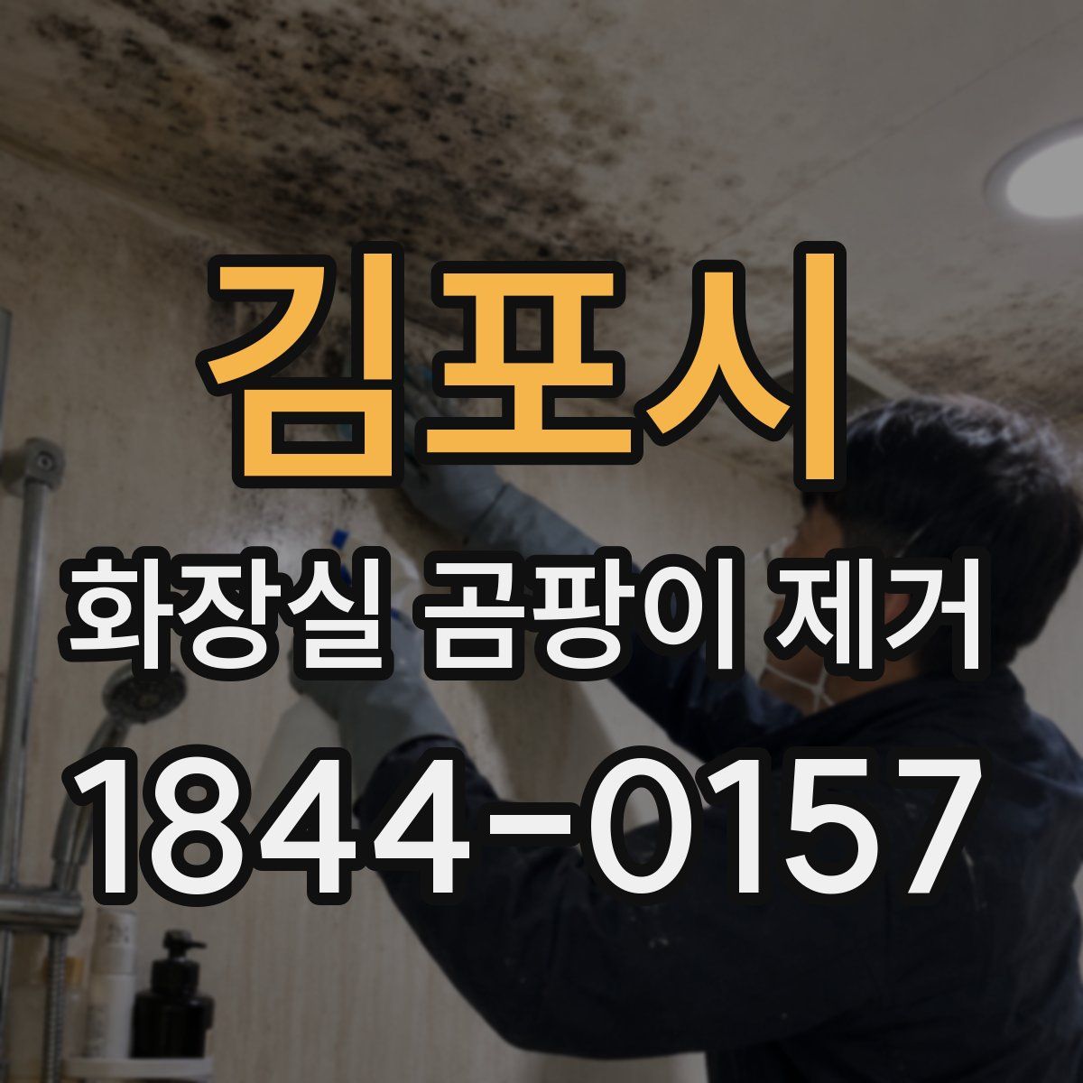 김포시 화장실 곰팡이 제거