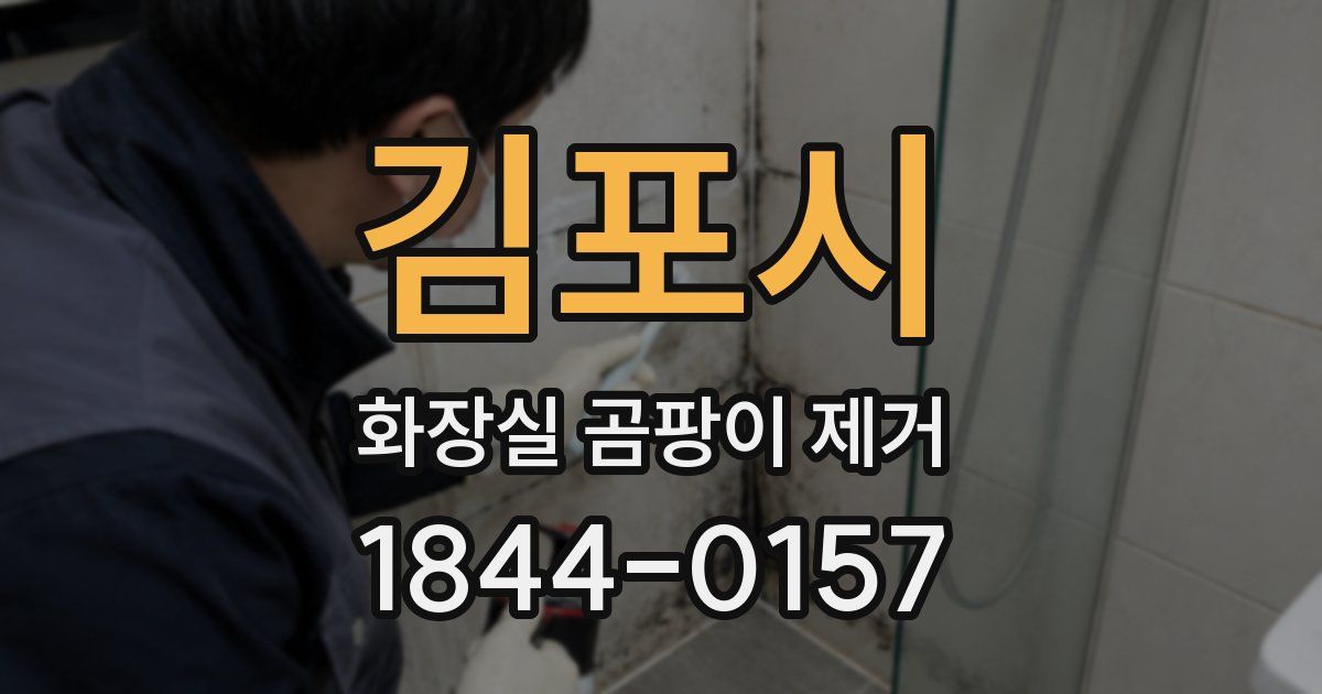 김포시 화장실 곰팡이 제거
