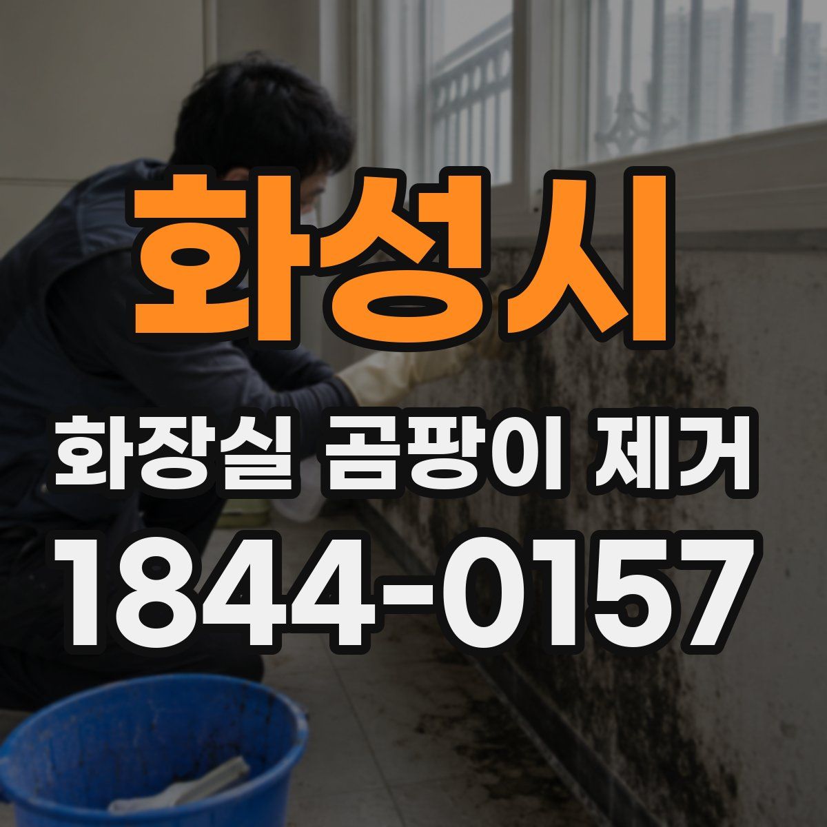 화성시 화장실 곰팡이 제거