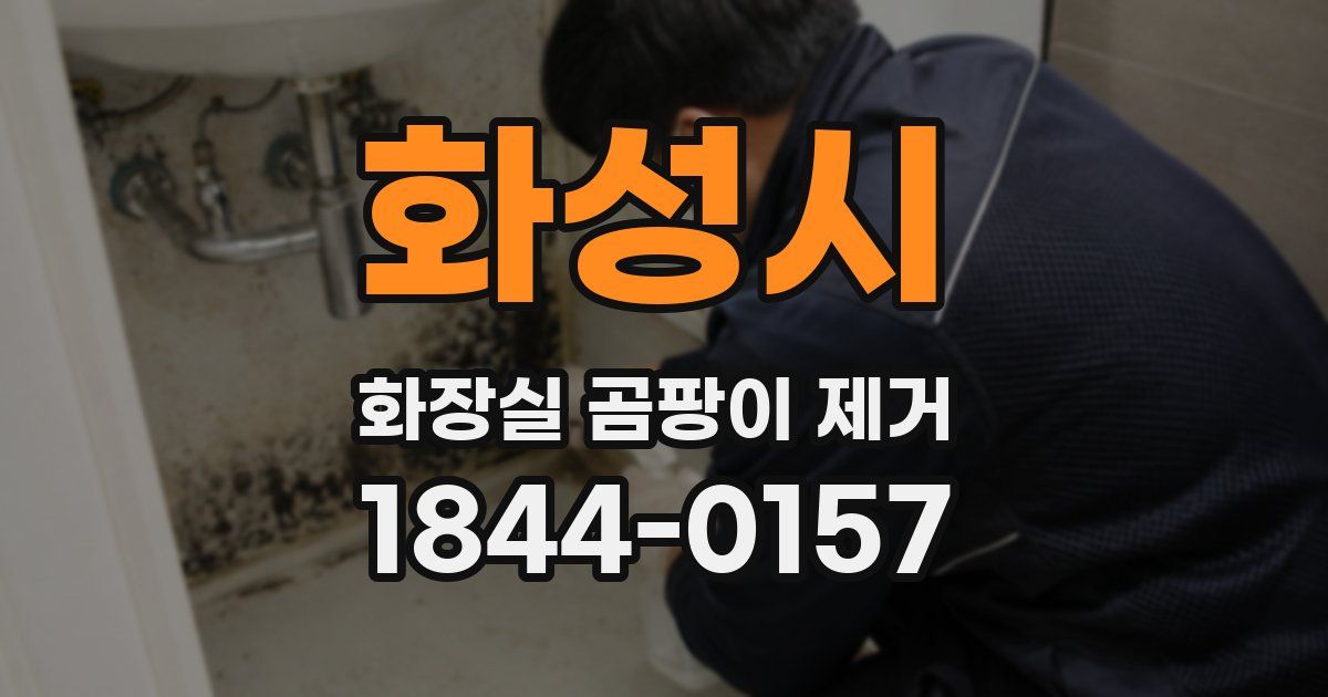 화성시 화장실 곰팡이 제거