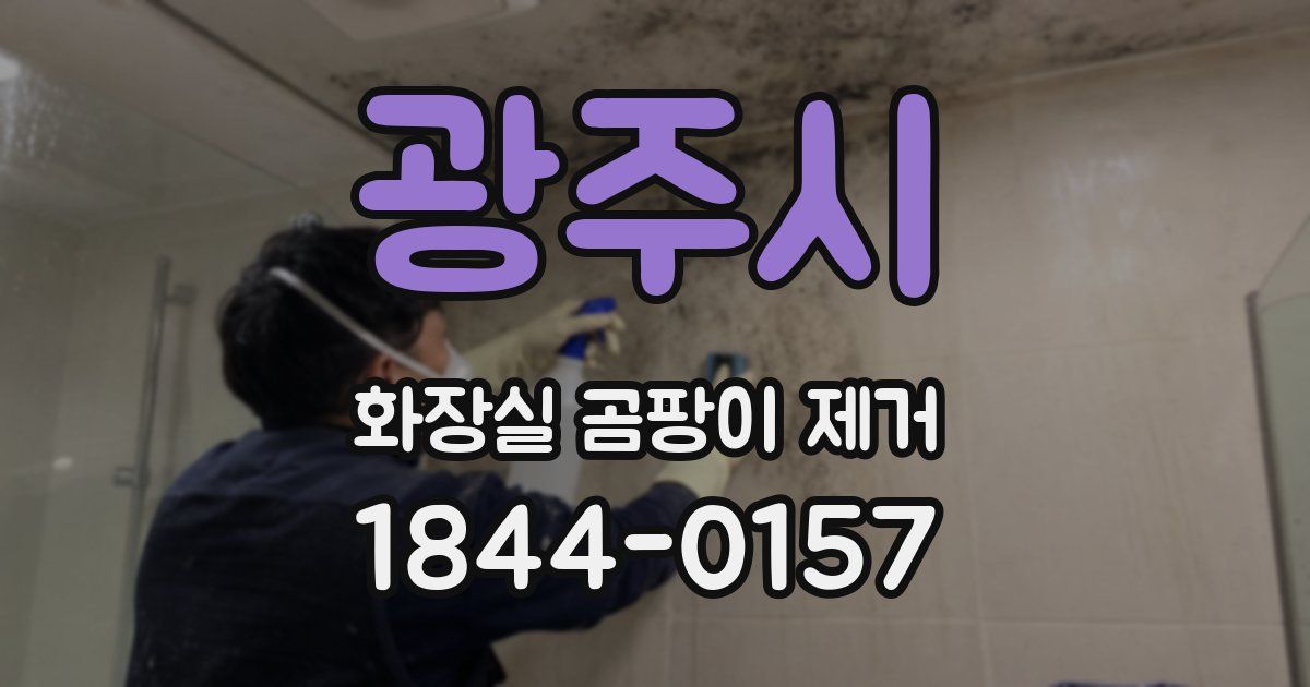 광주시 화장실 곰팡이 제거