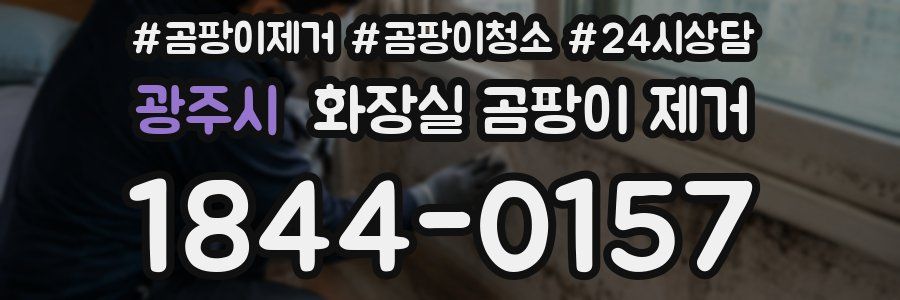 광주시 화장실 곰팡이 제거