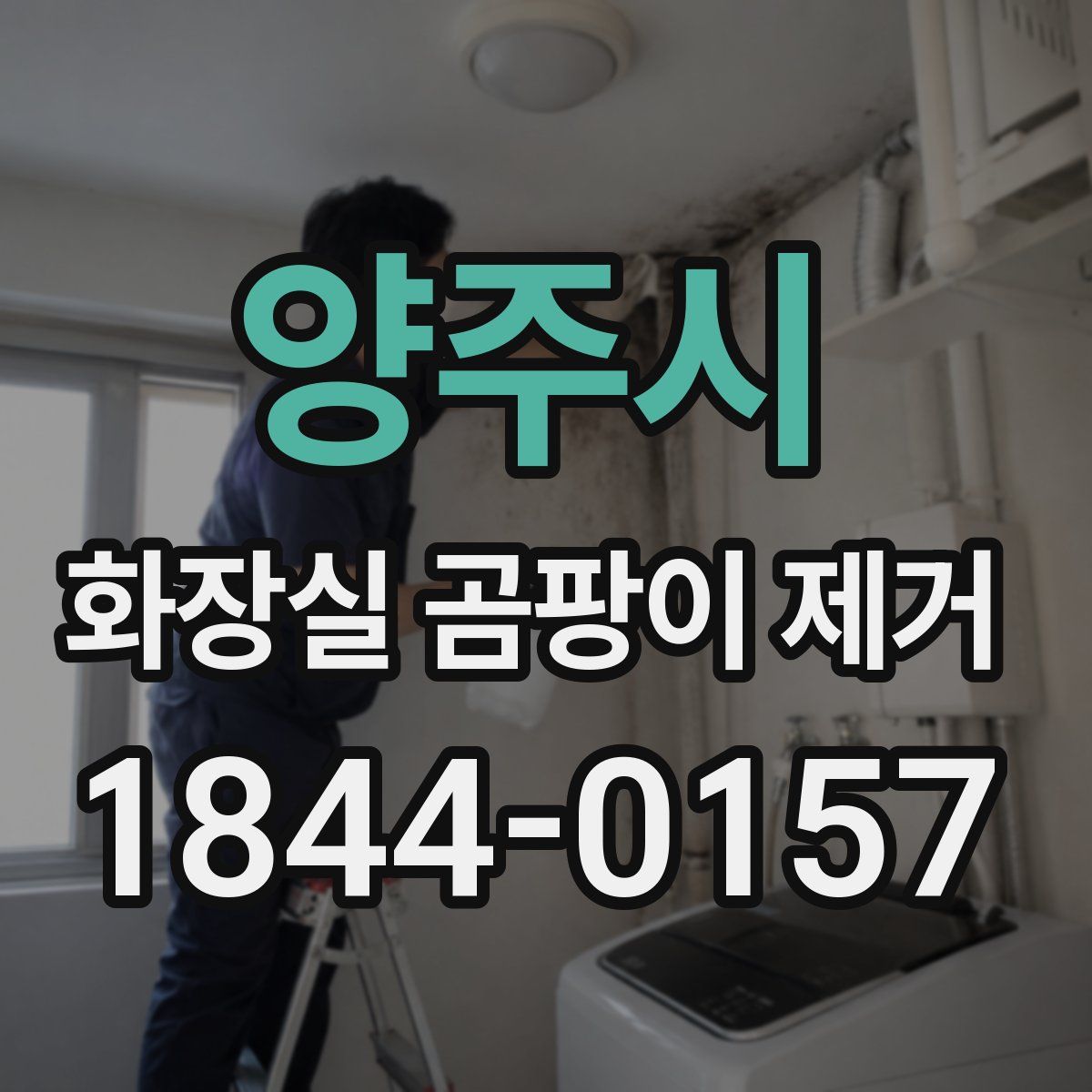 양주시 화장실 곰팡이 제거