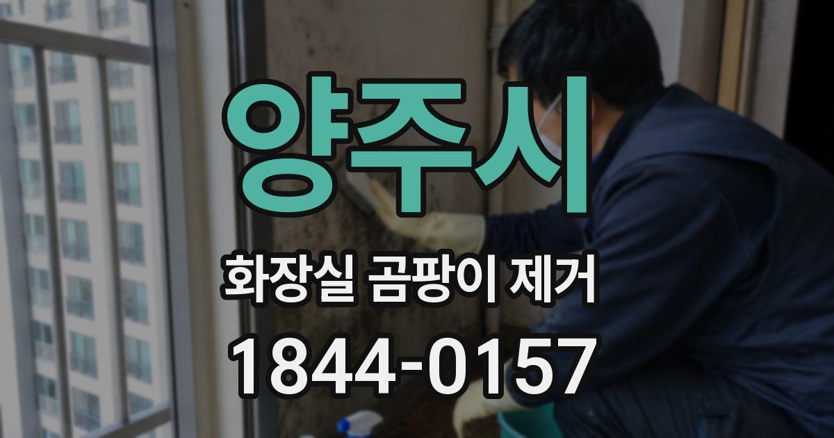양주시 화장실 곰팡이 제거
