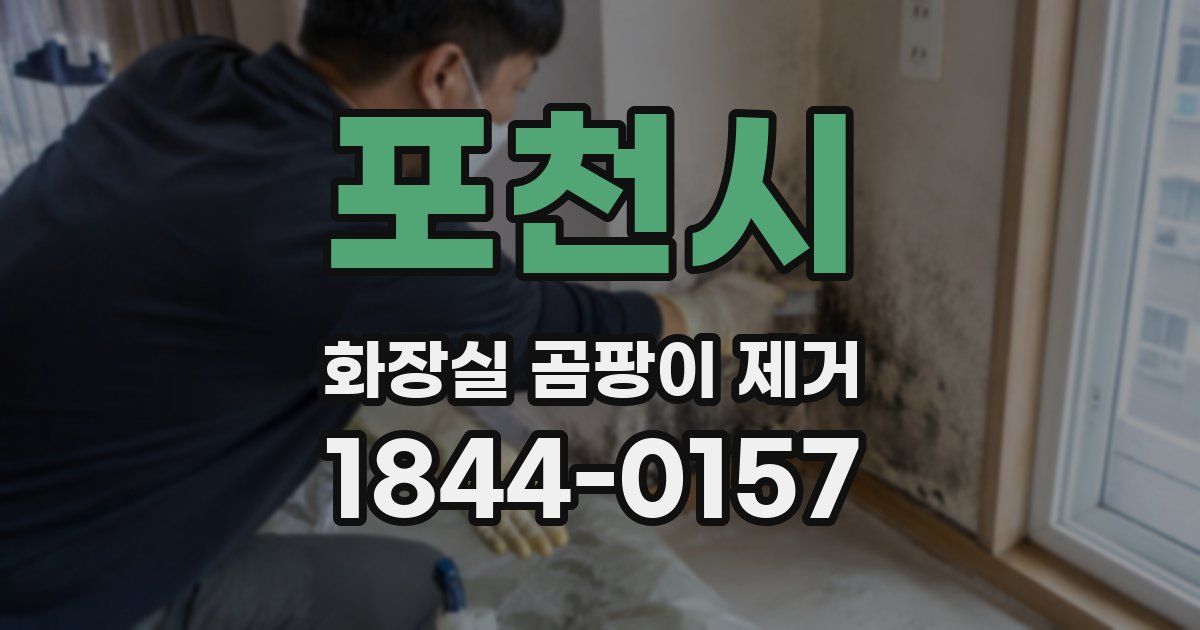 포천시 화장실 곰팡이 제거