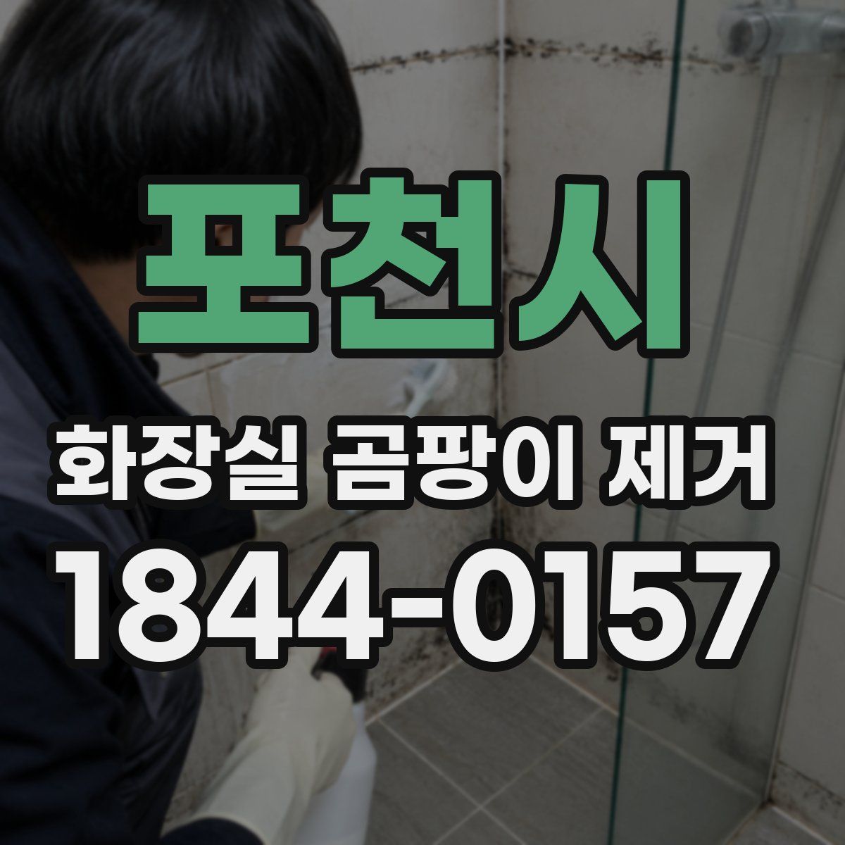 포천시 화장실 곰팡이 제거