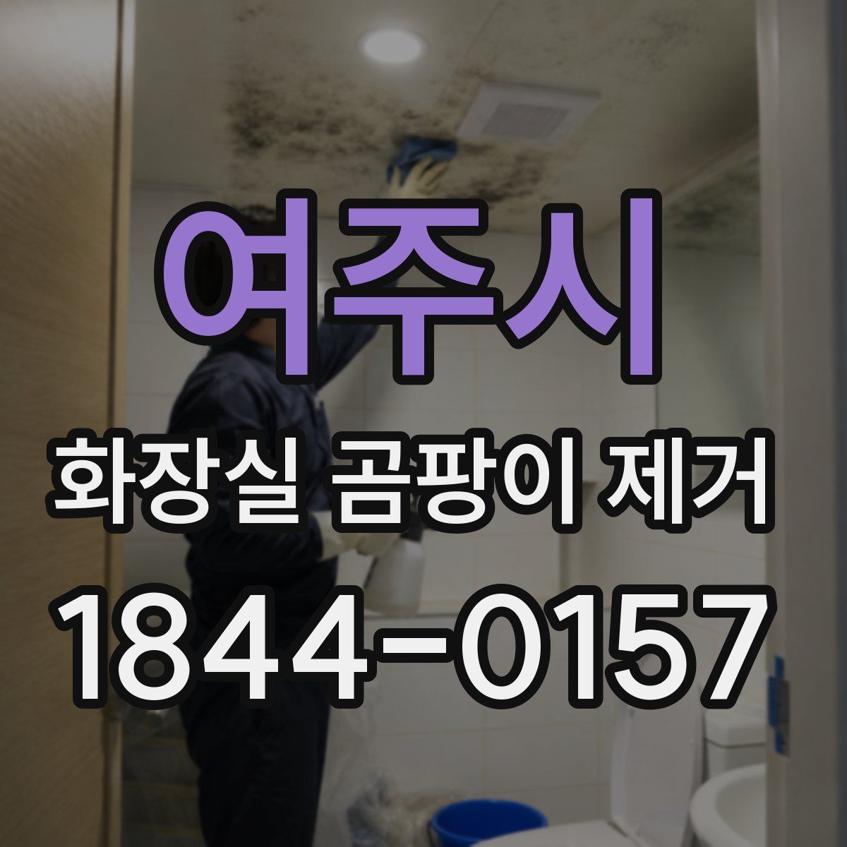 여주시 화장실 곰팡이 제거