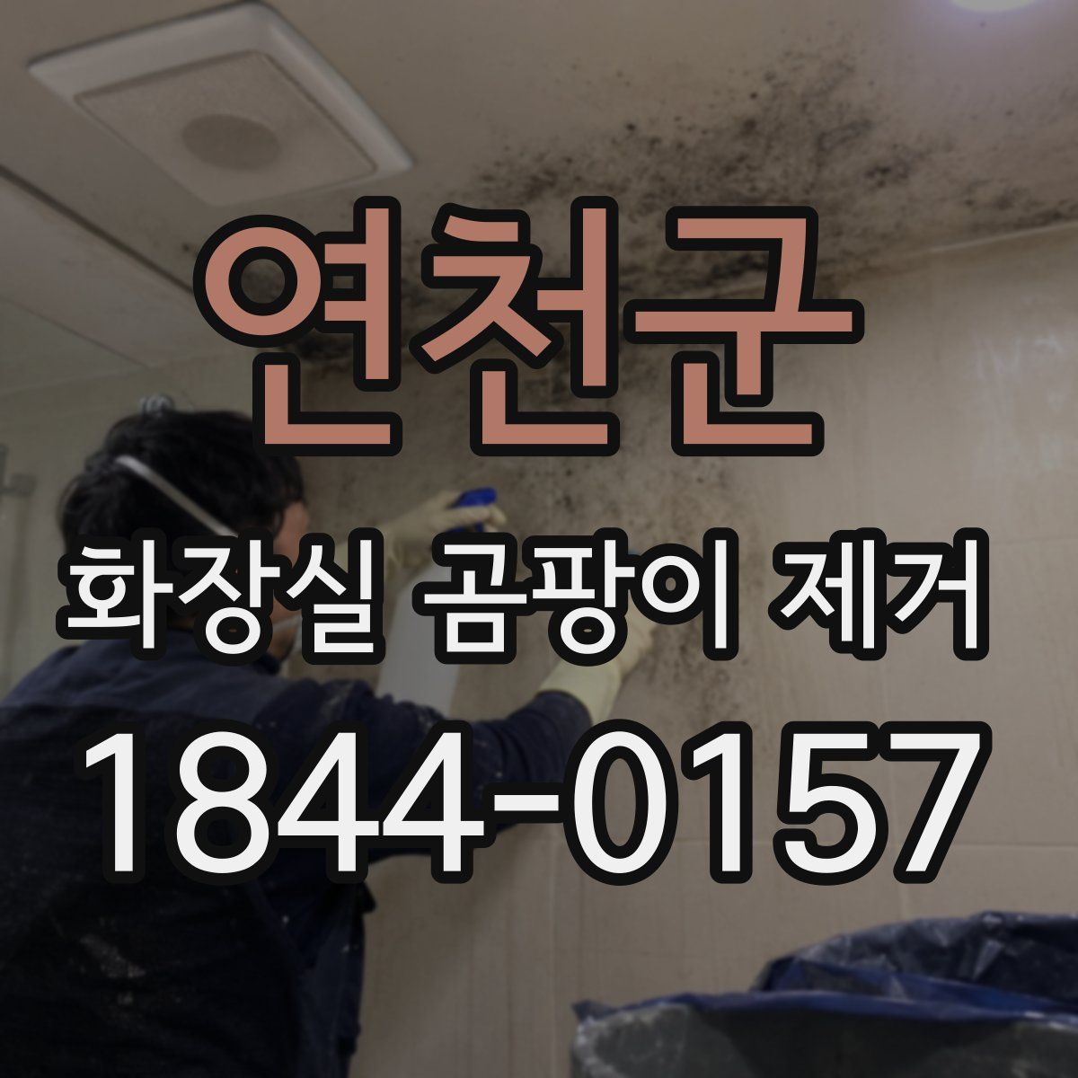 연천군 화장실 곰팡이 제거