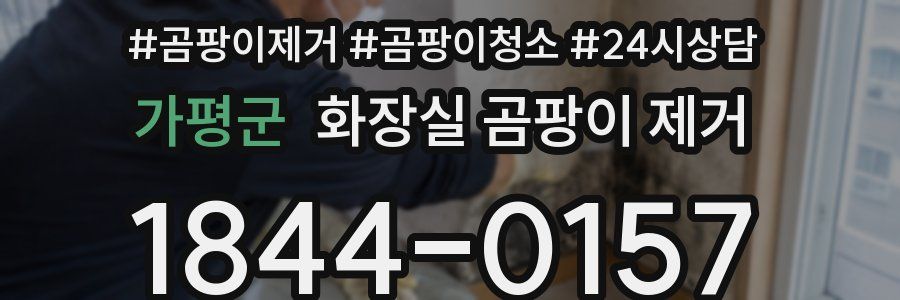 가평군 화장실 곰팡이 제거