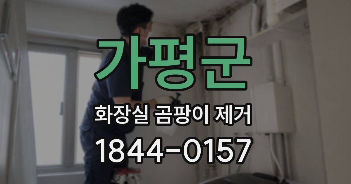 가평군 화장실 곰팡이 제거