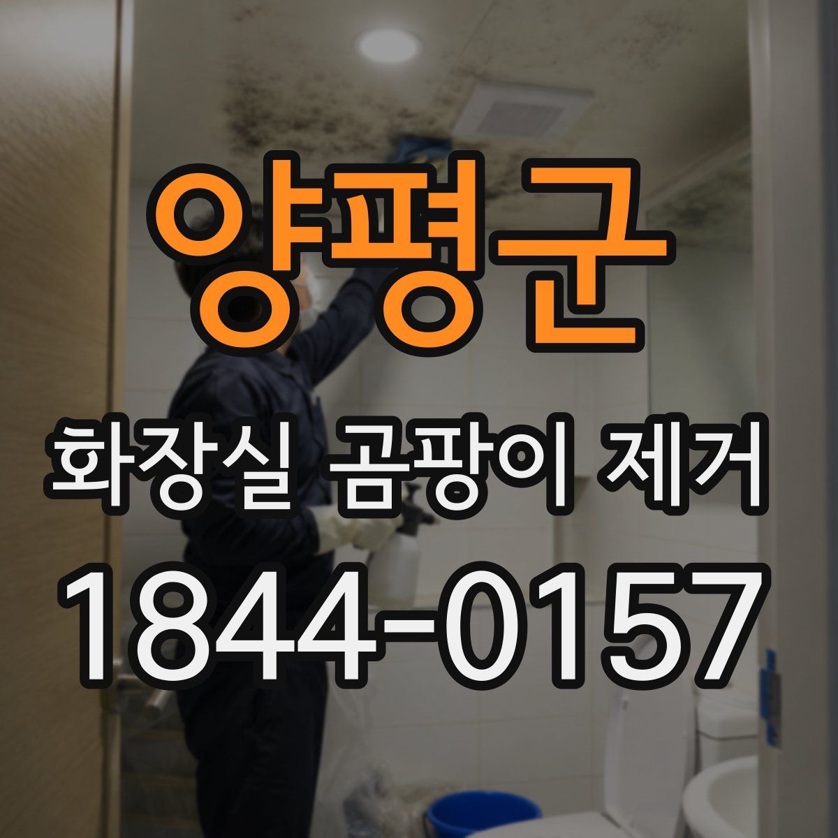 양평군 화장실 곰팡이 제거