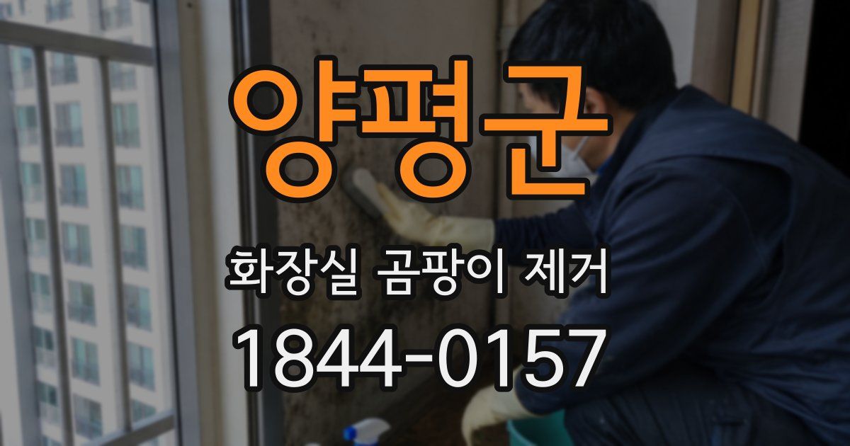 양평군 화장실 곰팡이 제거