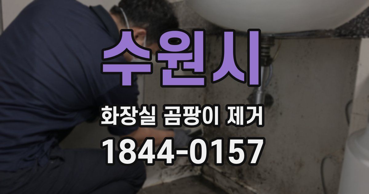 수원시 화장실 곰팡이 제거