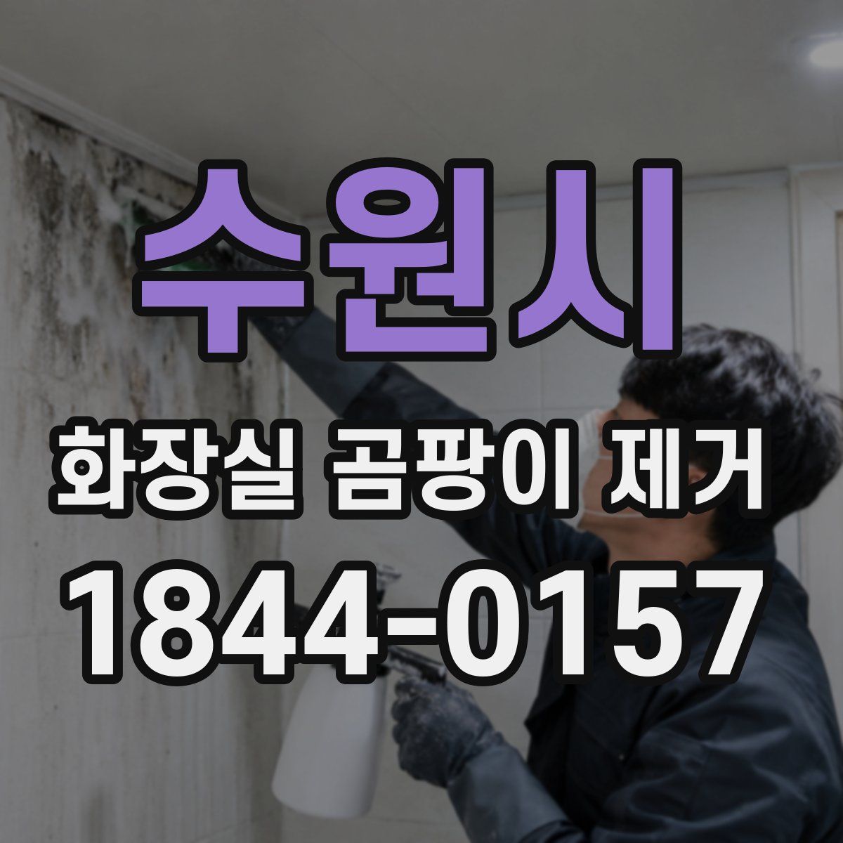 수원시 화장실 곰팡이 제거
