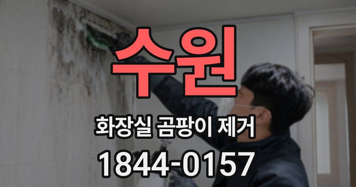 수원 화장실 곰팡이 제거
