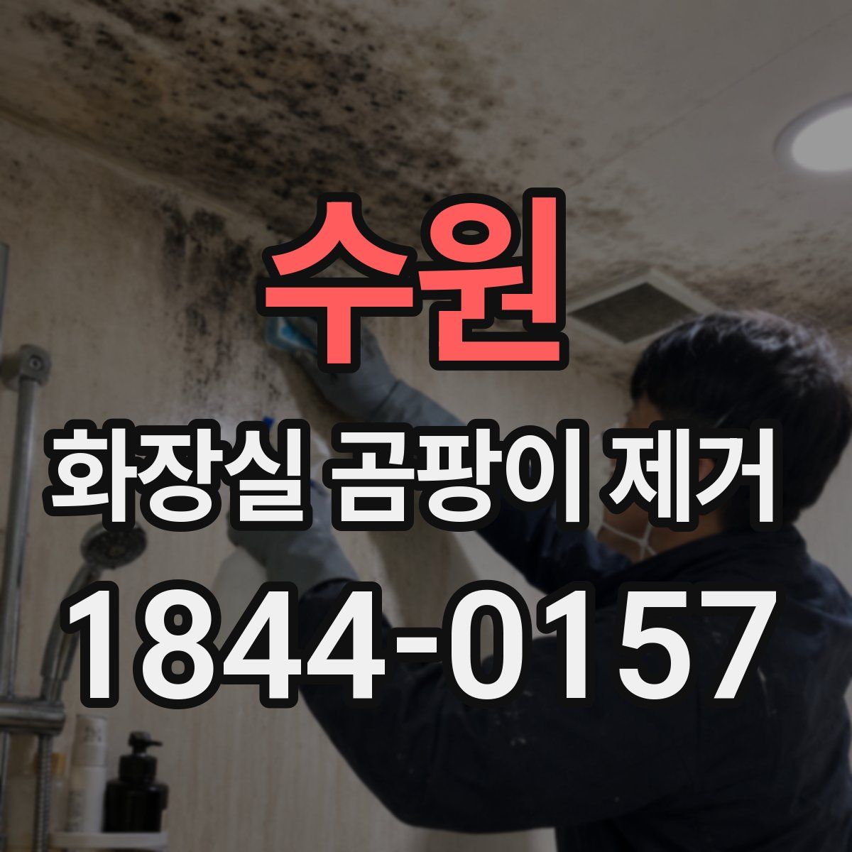 수원 화장실 곰팡이 제거