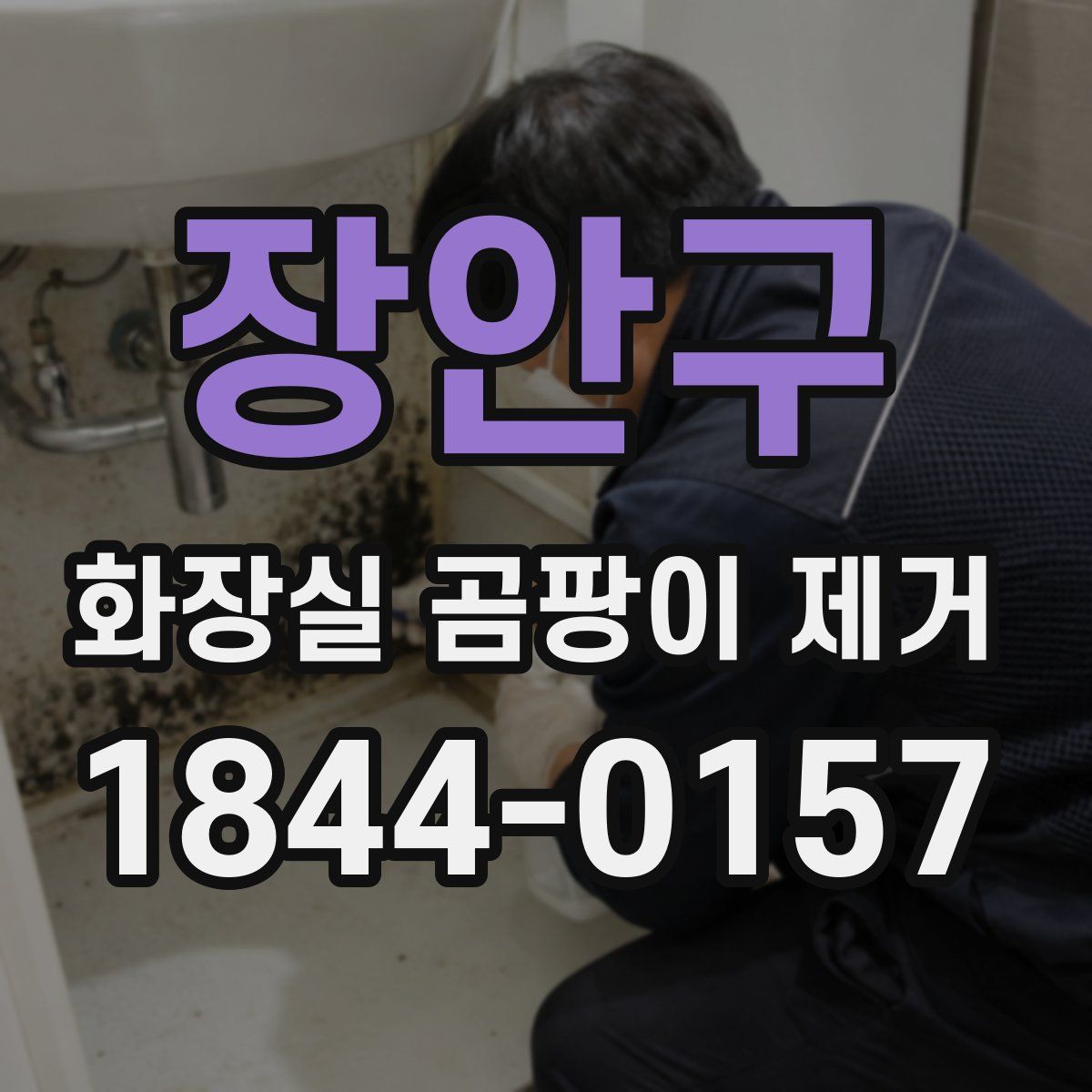 장안구 화장실 곰팡이 제거