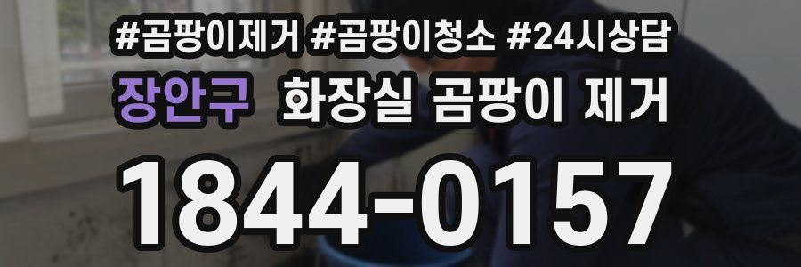 장안구 화장실 곰팡이 제거