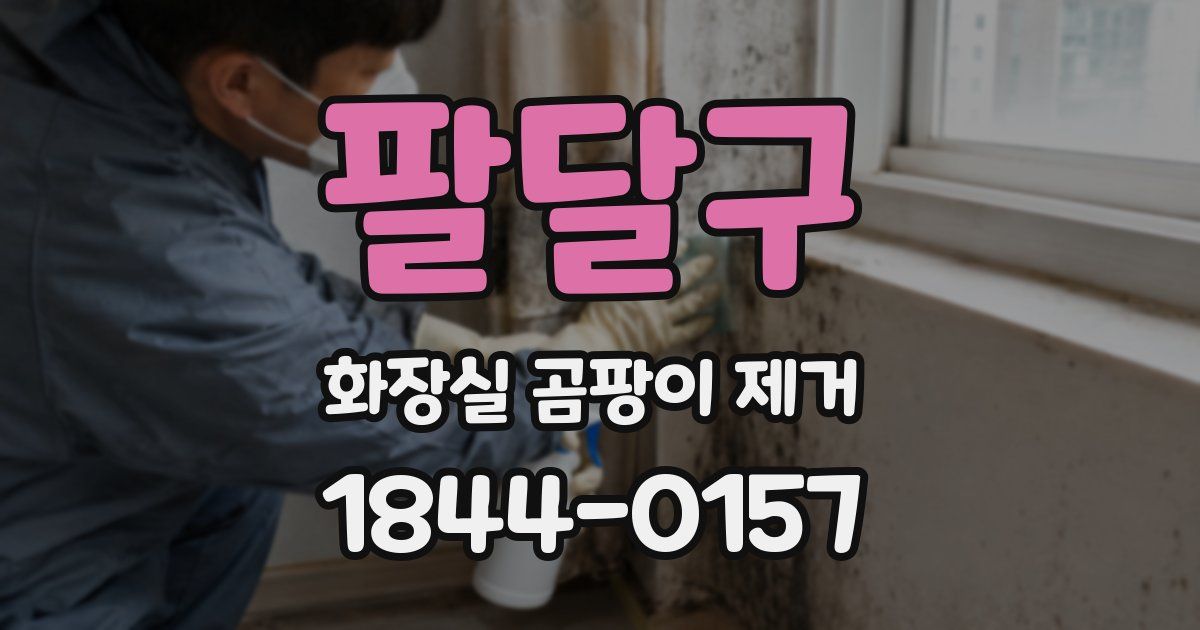 팔달구 화장실 곰팡이 제거