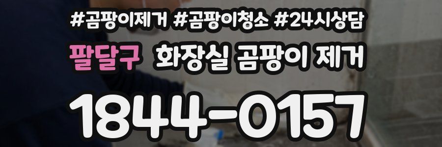 팔달구 화장실 곰팡이 제거