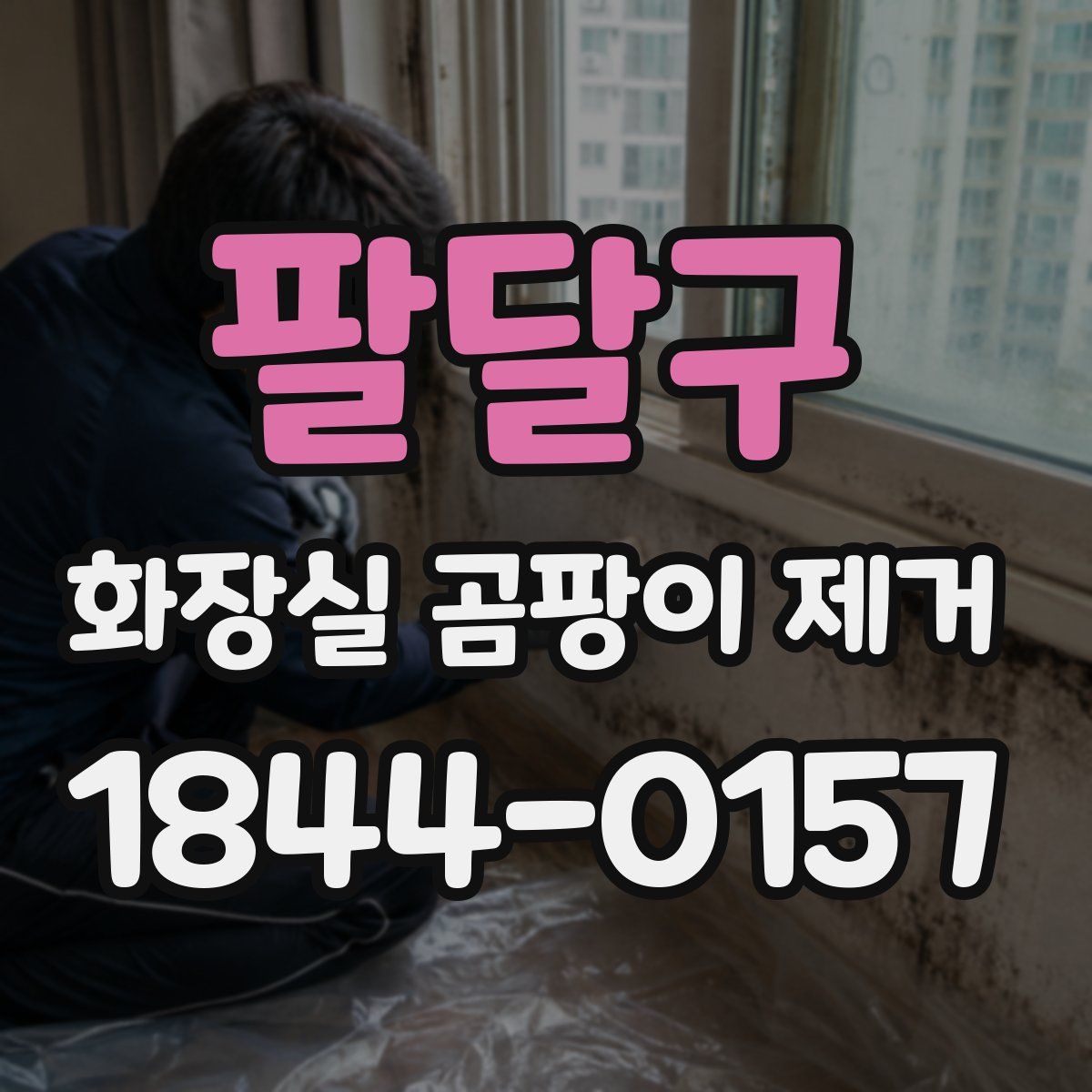 팔달구 화장실 곰팡이 제거