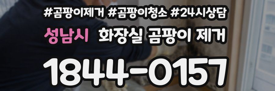 성남시 화장실 곰팡이 제거