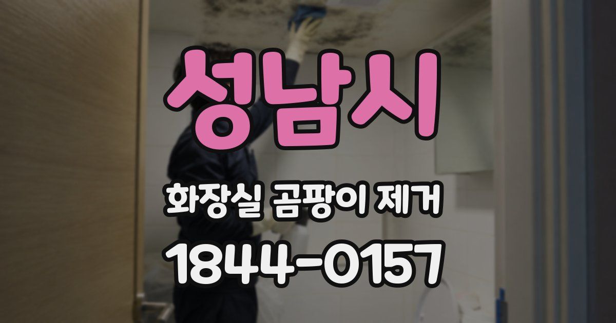 성남시 화장실 곰팡이 제거