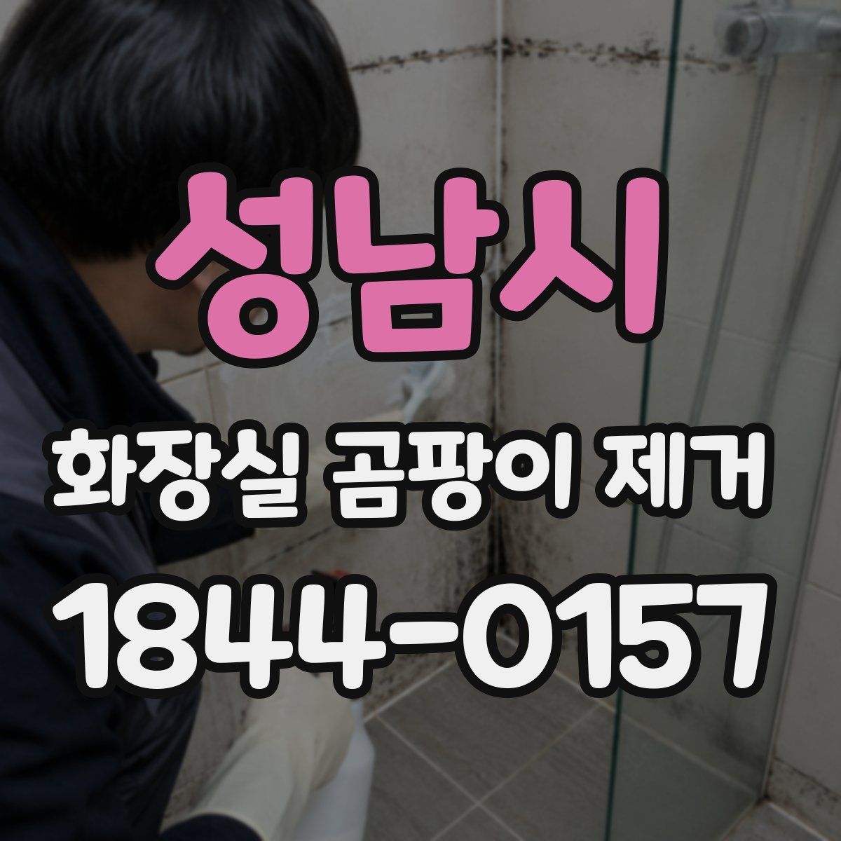 성남시 화장실 곰팡이 제거