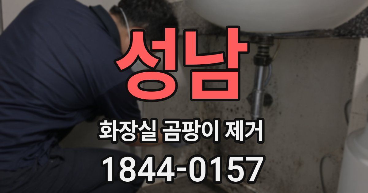 성남 화장실 곰팡이 제거