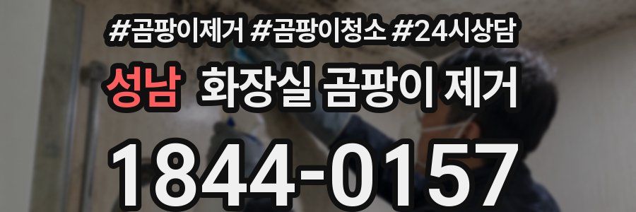 성남 화장실 곰팡이 제거