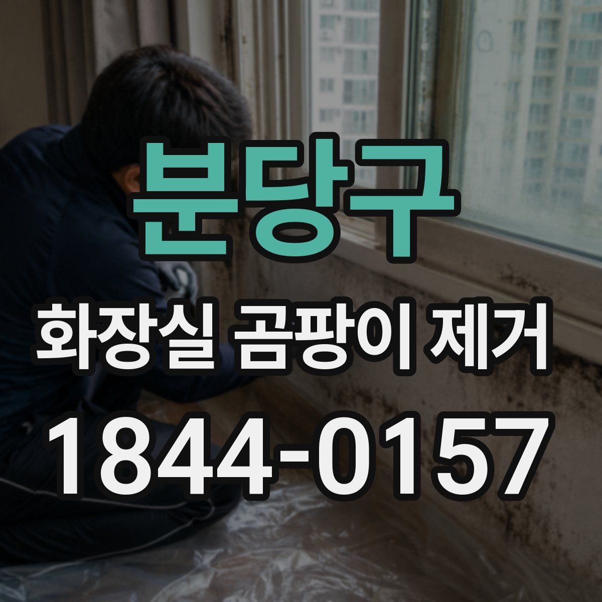 분당구 화장실 곰팡이 제거