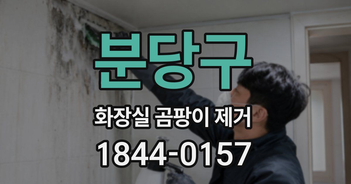 분당구 화장실 곰팡이 제거