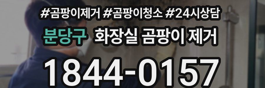 분당구 화장실 곰팡이 제거