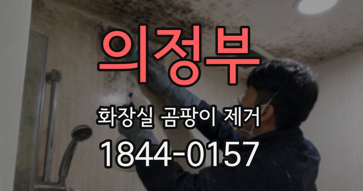 의정부 화장실 곰팡이 제거