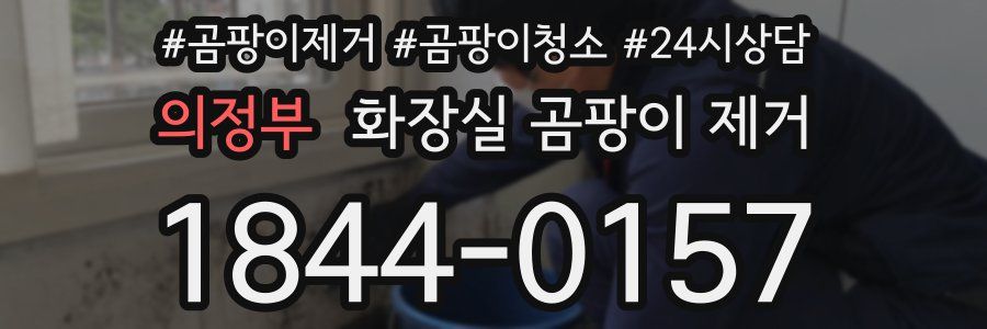 의정부 화장실 곰팡이 제거