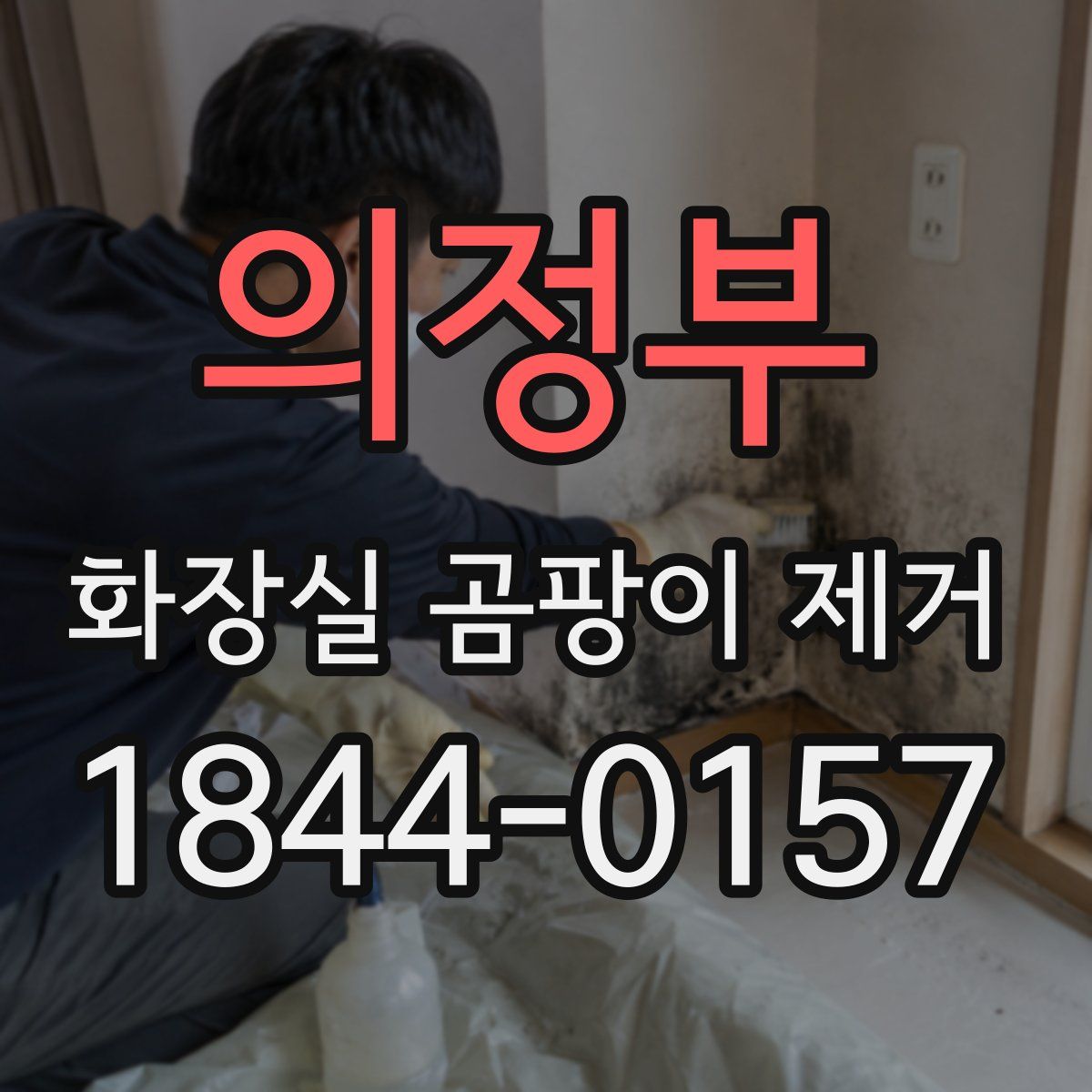 의정부 화장실 곰팡이 제거