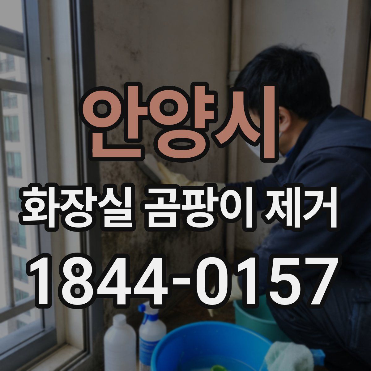 안양시 화장실 곰팡이 제거