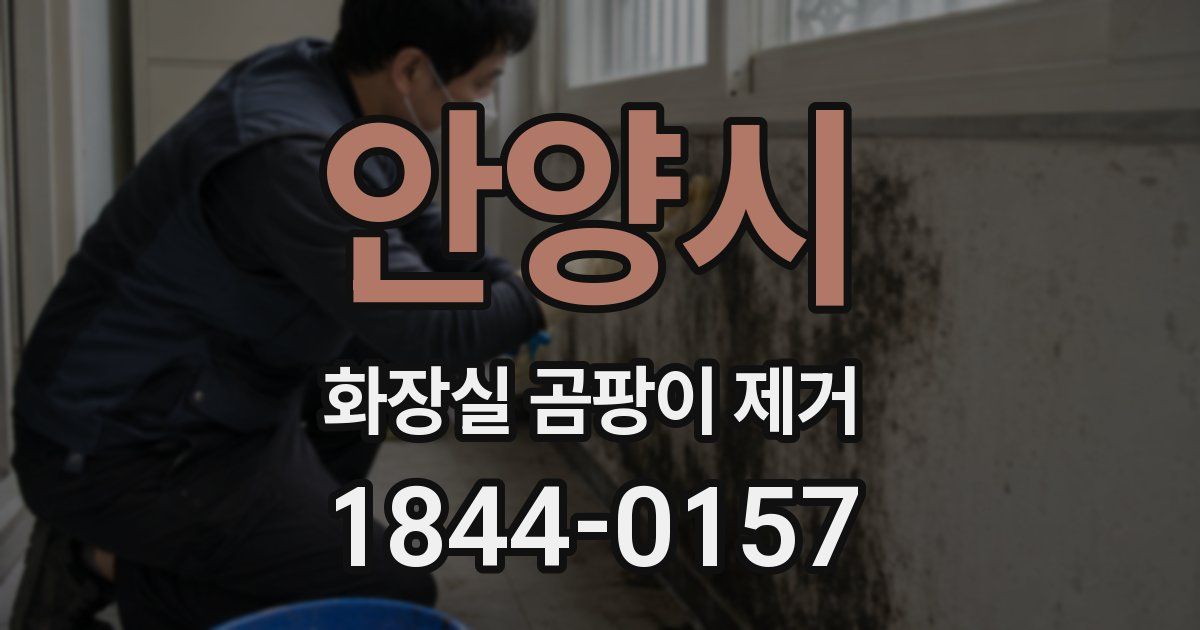 안양시 화장실 곰팡이 제거