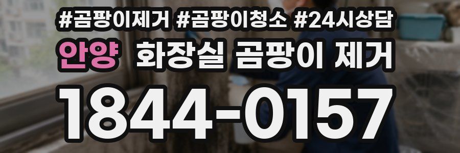 안양 화장실 곰팡이 제거
