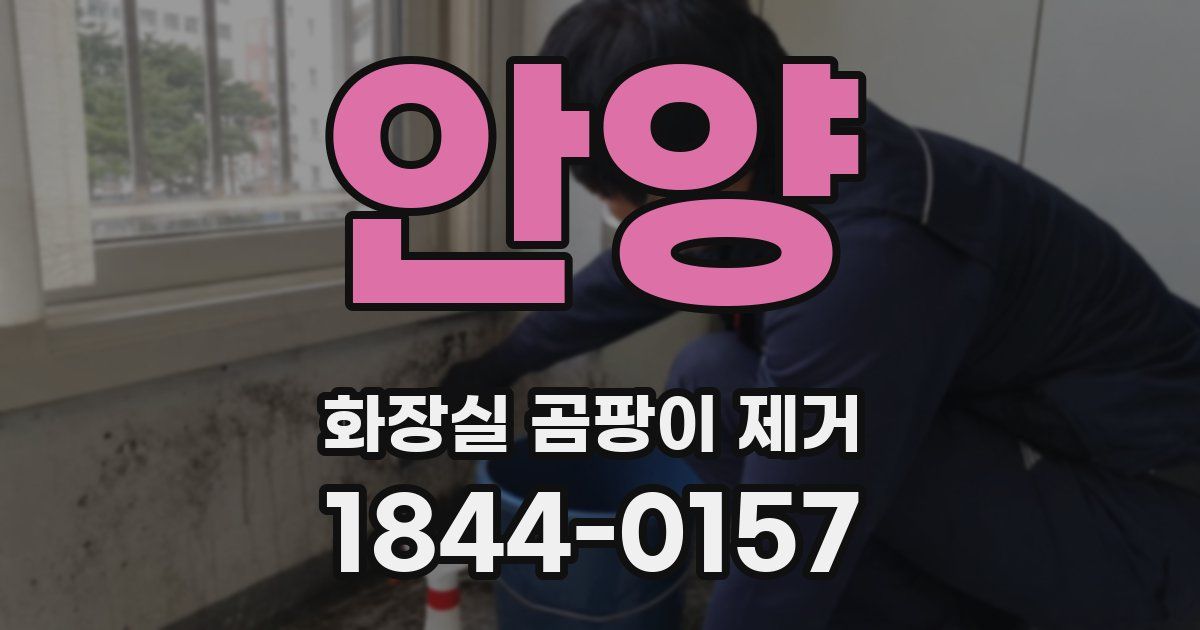 안양 화장실 곰팡이 제거