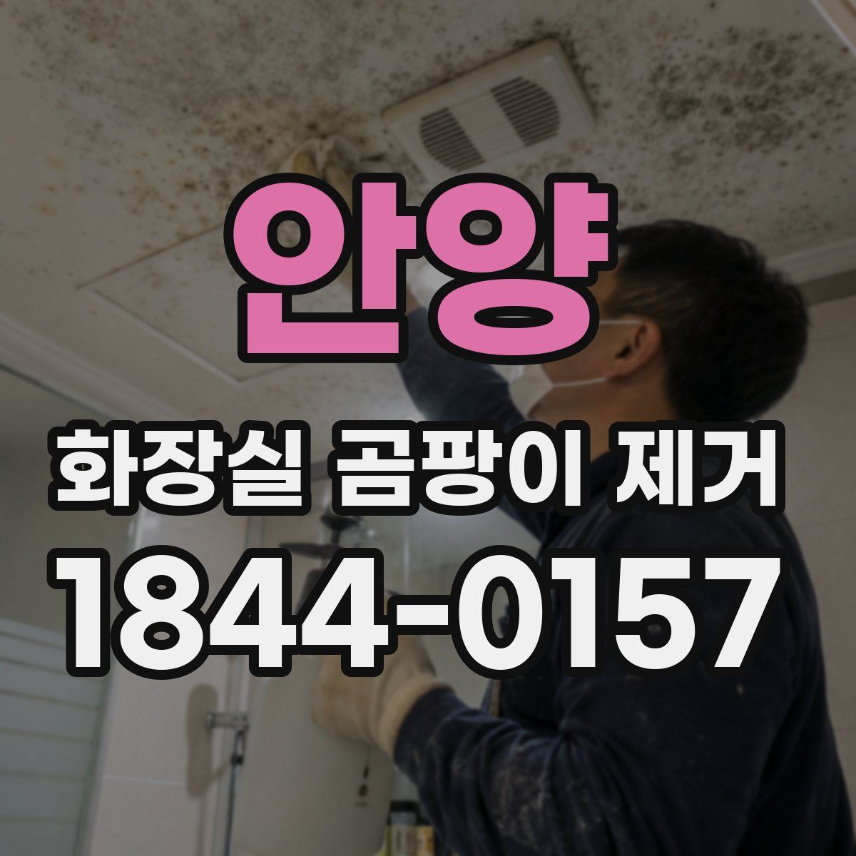 안양 화장실 곰팡이 제거