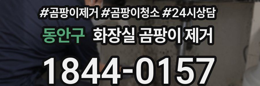 동안구 화장실 곰팡이 제거